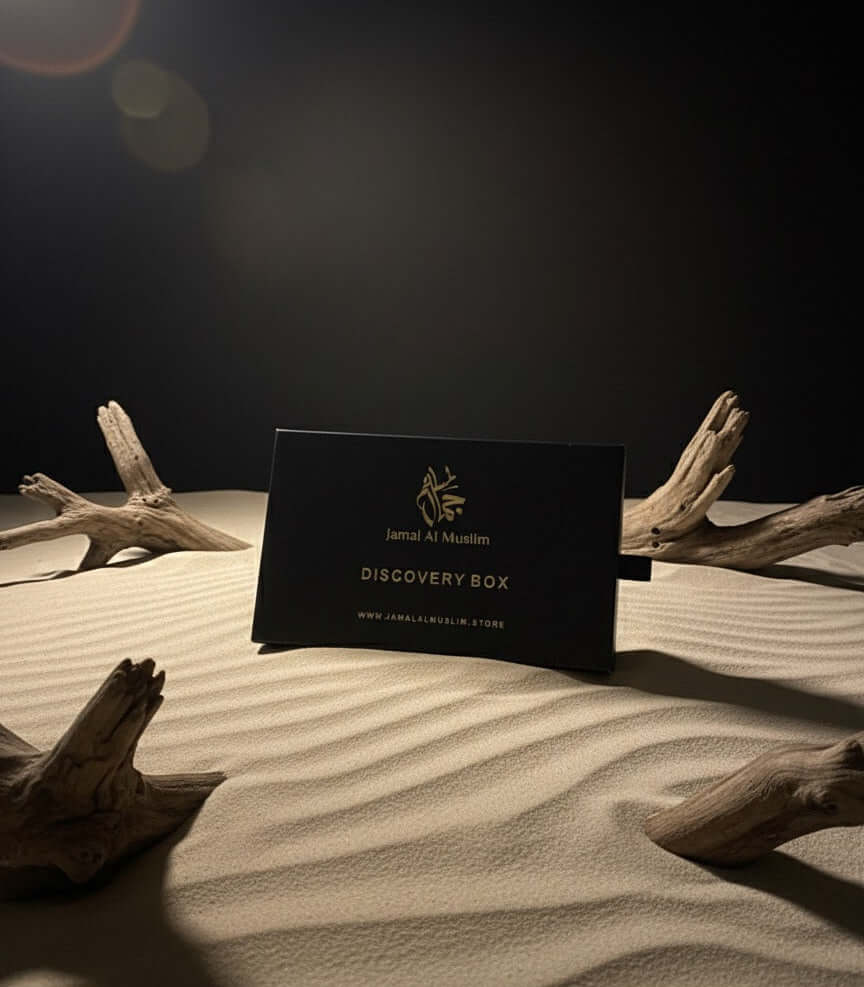 Mega Deal Musk Discovery Box displayed on sand with driftwood accents, showcasing premium concentrated musk oils.